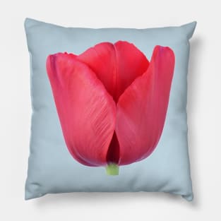 Tulip Pillow