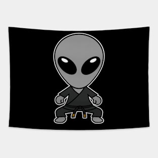 Karate Gray Alien Extraterrestrial Dark Gi Tapestry