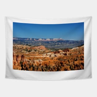 Colors of the Rainbow #2 - Bryce Canyon, Utah USA Tapestry