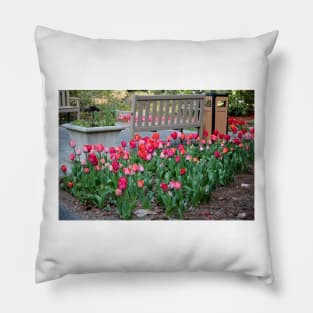 Sit With The Tulips Pillow