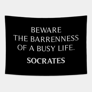 Socrates Quote Tapestry