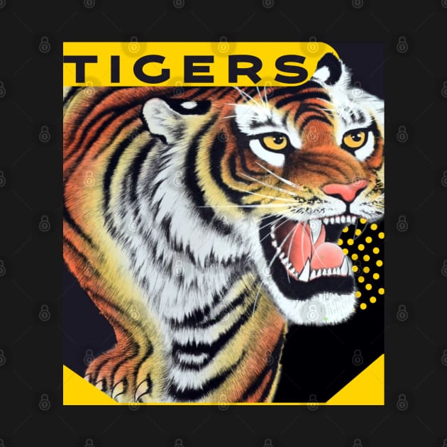 Tigers Sports Team Design by Shell Photo & Design