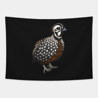 Montezuma Quail Tapestry