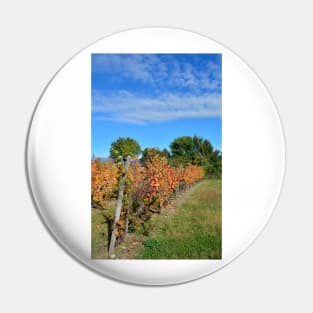 Autumnal Grape Vines Pin