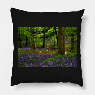 English Bluebell Woodland Pillow