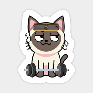 Cute siamese cat is exercising Magnet