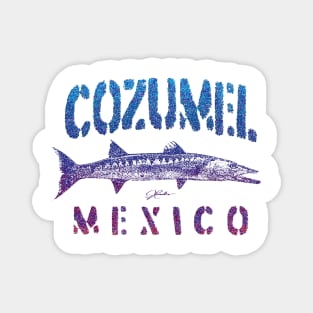 Cozumel, Mexico, Great Barracuda Magnet