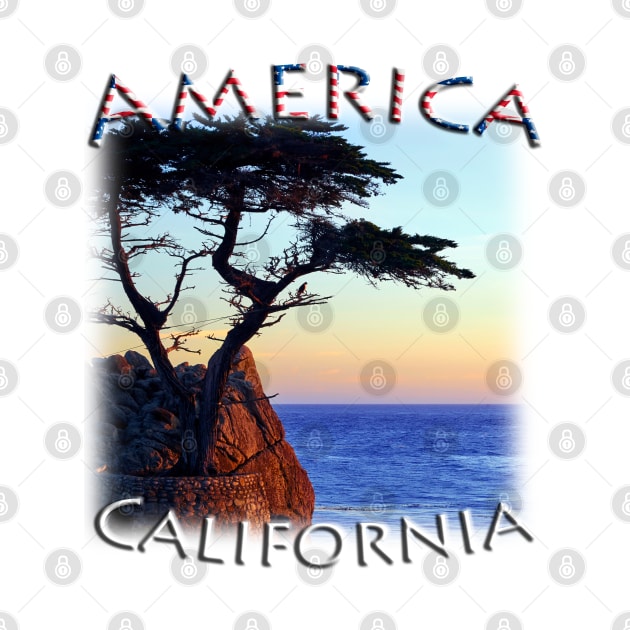 America - California - Monterey Lone Cypress by TouristMerch