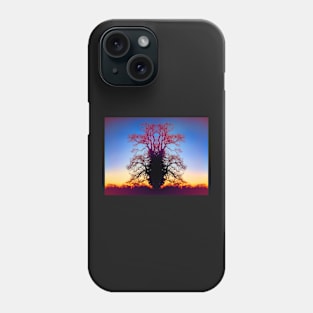 Queen Of The Tree Tiger Phone Case