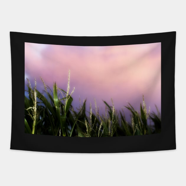 Sweet Corn Sunset Tapestry by heidiannemorris