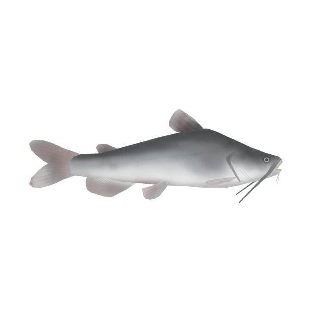 White Catfish by FishFolkArt