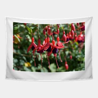 Fucshia in Flower Tapestry