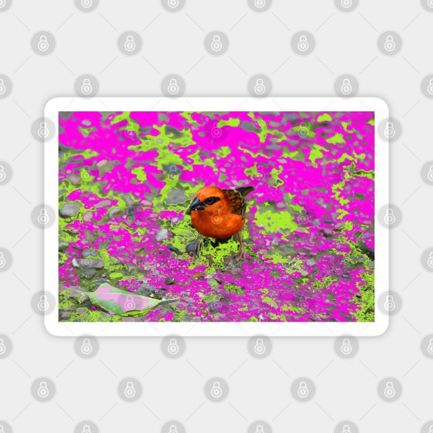 Red Bird Magnet by Wolf Art / Swiss Artwork Photography