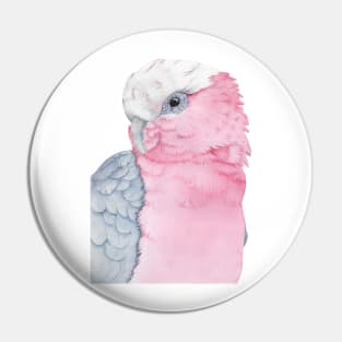 rosalbin galah cockatoo pink watercolor portrait Pin