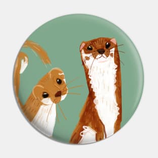 Funny Weasel ( Mustela nivalis ) Pin