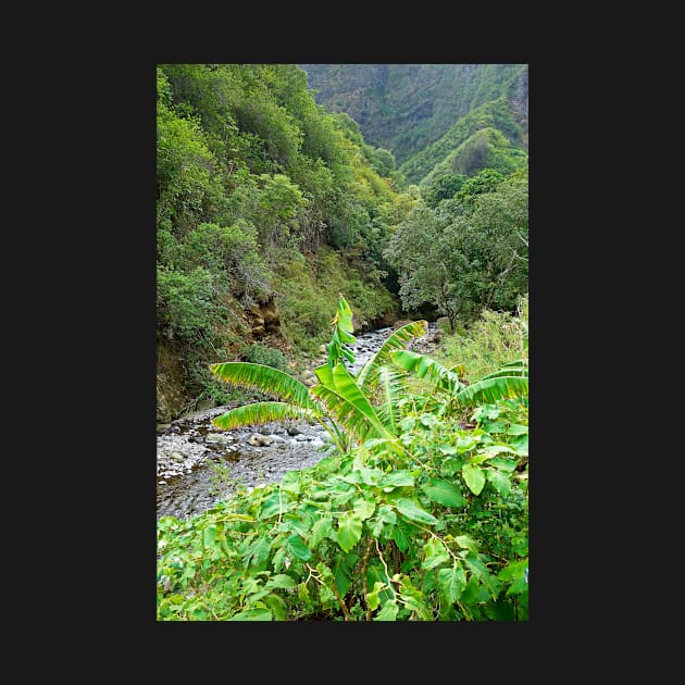 Iao Valley State Monument Study 10 by bobmeyers