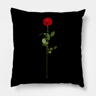 Aesthetic red rose Pillow