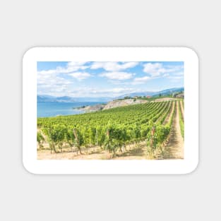 Okanagan Valley Vineyard View Magnet