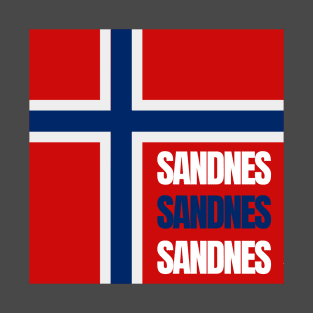 Sandnes City in Norwegian Flag Colors T-Shirt