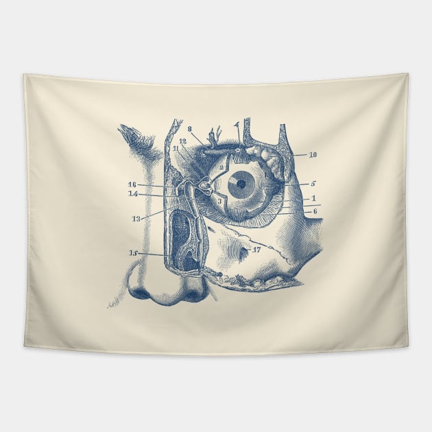 Human Eye and Tear Duct Diagram - Vintage Anatomy Tapestry by Vintage Anatomy Prints