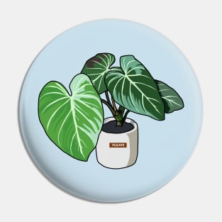 Philodendron Plants Pin