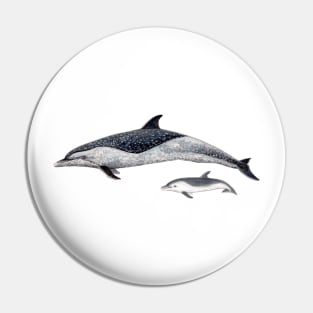 Pantropical spotted dolphin Pin