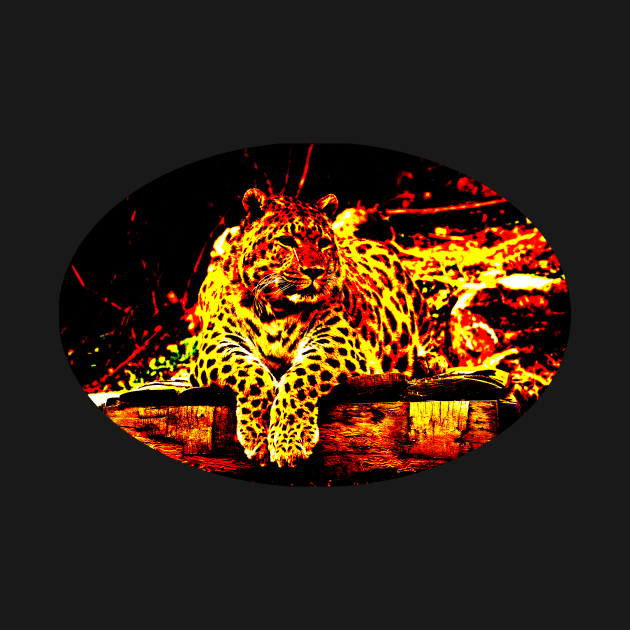 Leopard by mmuzanic