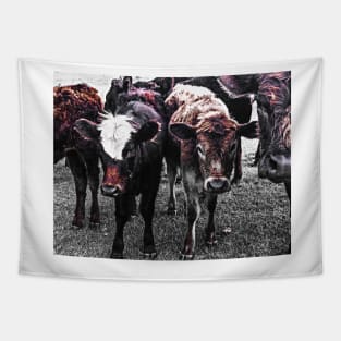 Cute Calves Tapestry