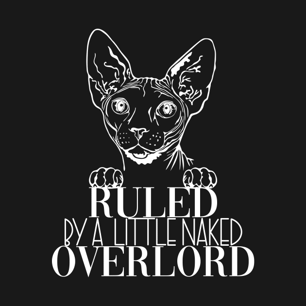 Sphynx Cat Overlord Dark Cat Cats by fromherotozero