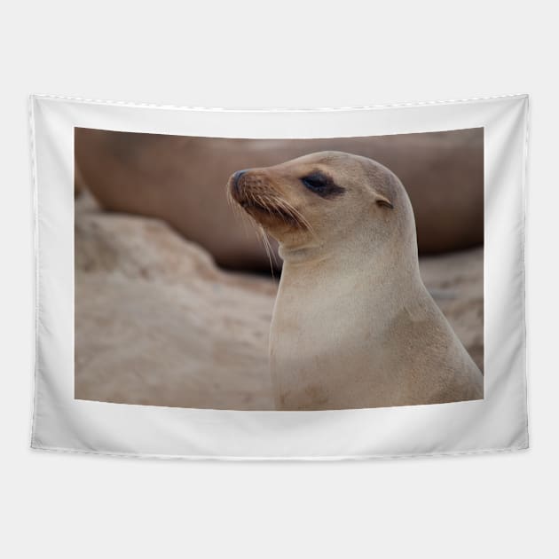 Sea Lion Friend Tapestry by Jacquelie