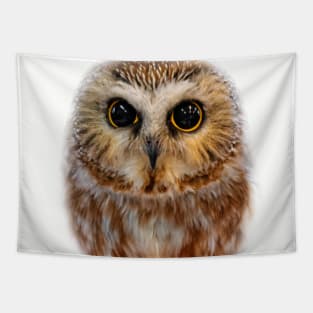 Closeup of a Cute Northern Saw Whet Owl Tapestry