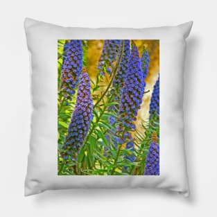 jardim da regaleira Pillow