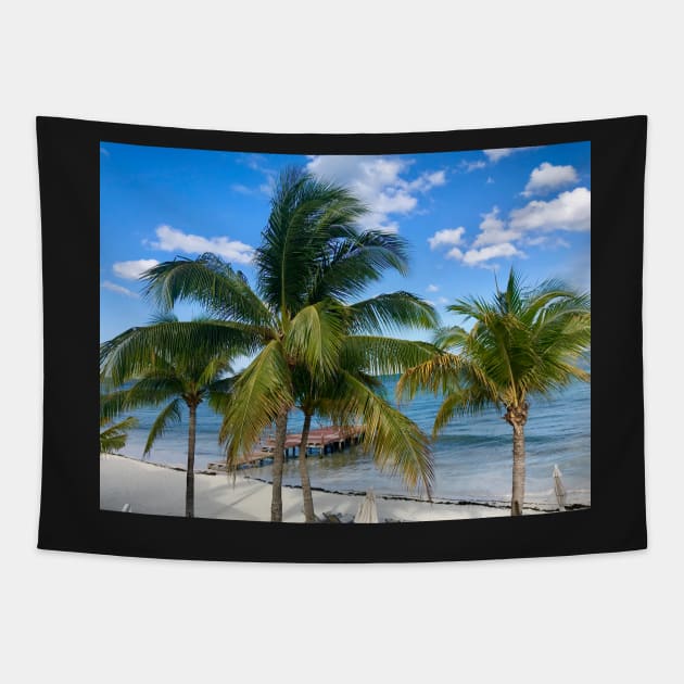 On Vacation in Mexico Tapestry by ephotocard