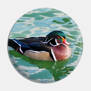 A Wood Duck Swimming At My Local Pond Pin