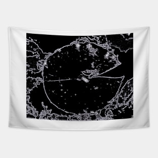 Pond Vision Tapestry