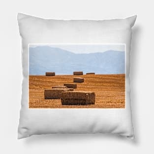 Hay Pillow