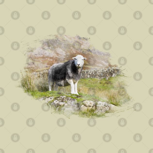 Herdwick Sheep Watercolour Photo by Jane Stanley Photography