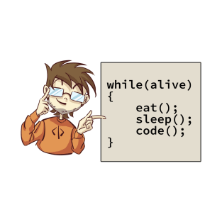 Lifestyle of a programmer T-Shirt