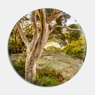 Mount Ettalong Lookout, Umina Beach, NSW, Australia Pin