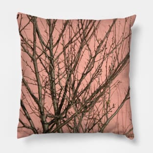 Bare tree against a pink wall Pillow