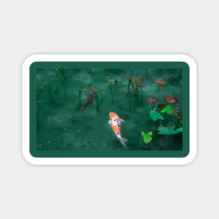 KOI FISH IN A SHINTO SHRINE POND Magnet