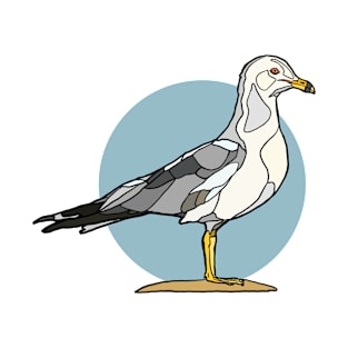 Ringed Billed Gull T-Shirt