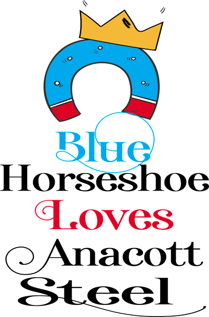 Blue Horesshoe Loves Anacott Steel Kids T-Shirt by care store