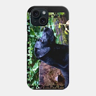 Black Labrador Phone Case