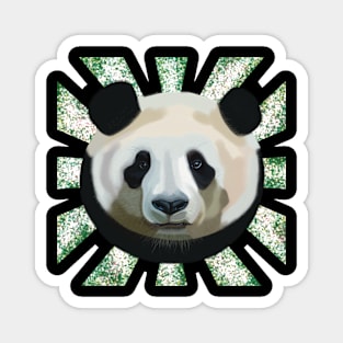 Striking Panda bear on Random spotted patterned sun rays Magnet