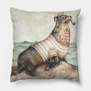 Keep an eye on the coast Pillow