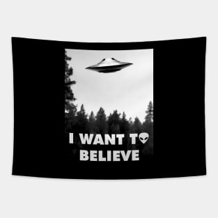 I want to believe Tapestry