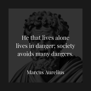 Marcus Aurelius's Observation: The Safety of Society T-Shirt