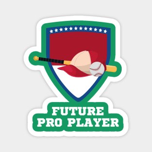 Baseball Pro Player Gift Magnet