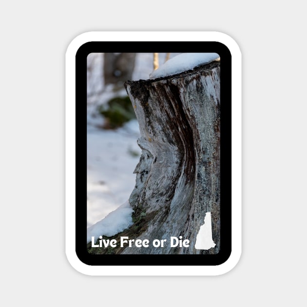 Live Free or Die New Hampshire Motto Magnet by MagpieMoonUSA